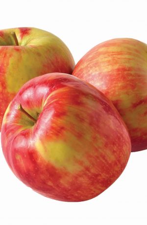 Ship a Bushel of Organic Apples