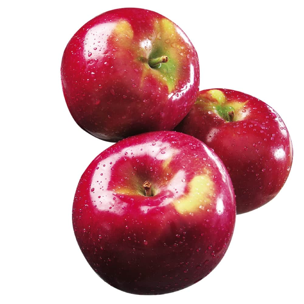 McIntosh Apples 641 Realistic