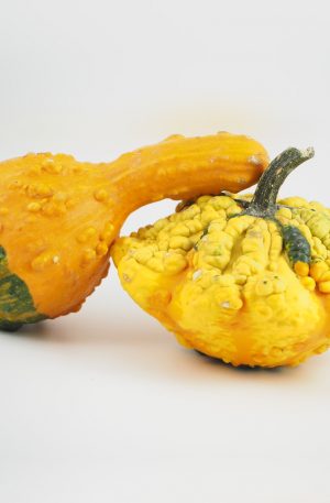 Gourds